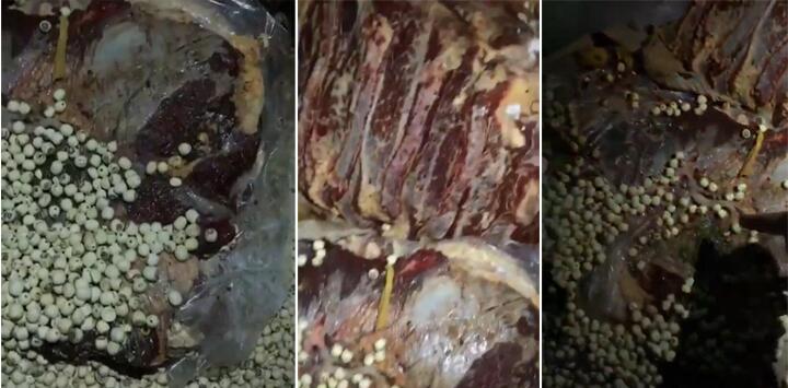 學生食堂大量使用過期肉製品